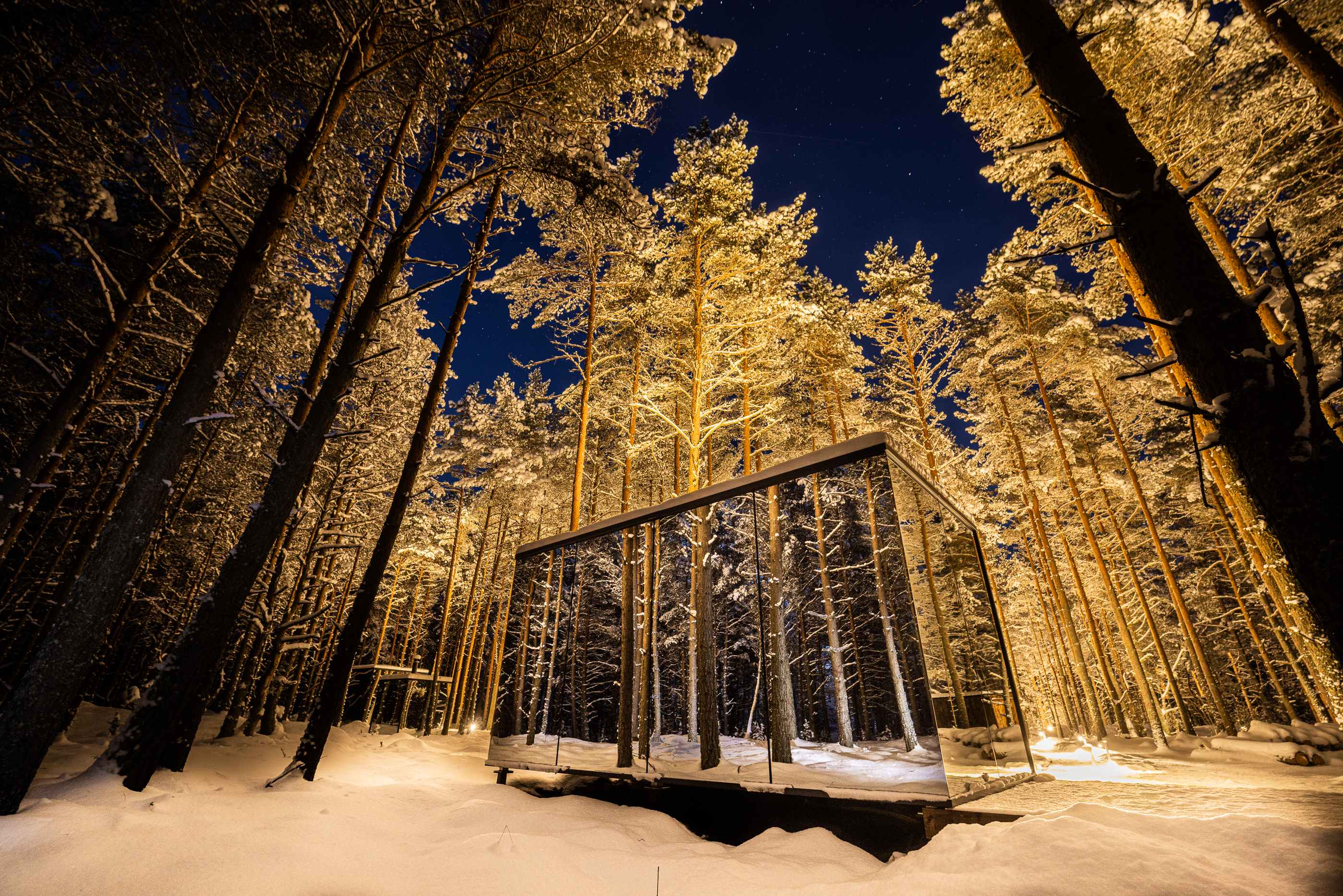 a glass building in the middle of a snowy forest
