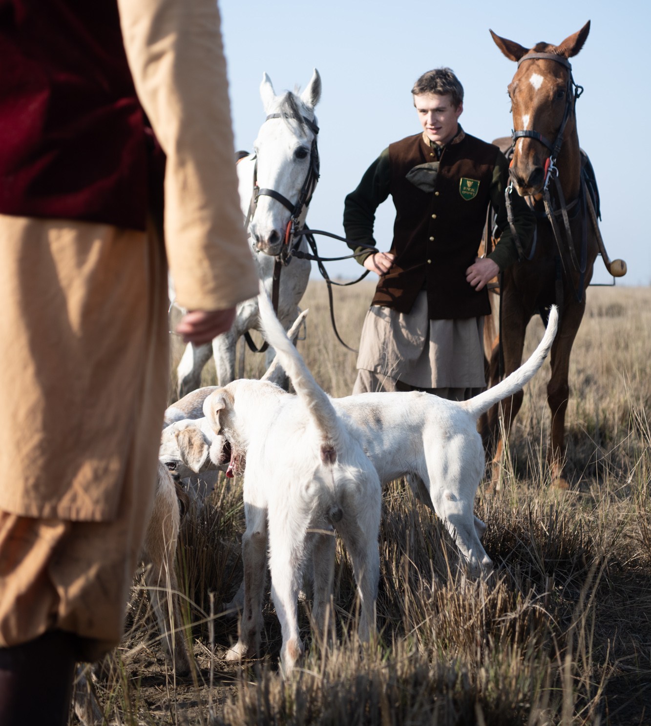 Hunters with horses and hounds in a field.